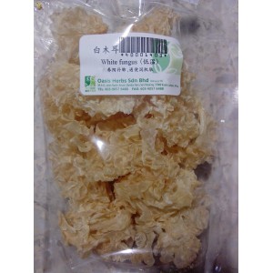 Natural White Fungus