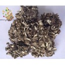 Natural Maitake - 舞茸