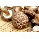 Raw wood S. Mushroom - 原木香花菇