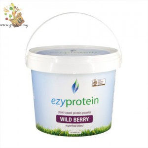 Ezyprotein Silk Superfood blend – Wild berry (800g)