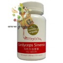 Organic Cordyceps - 有机冬虫夏草
