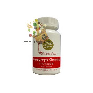 Organic Cordyceps - 有机冬虫夏草