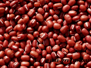 Adzuki Bean Organic