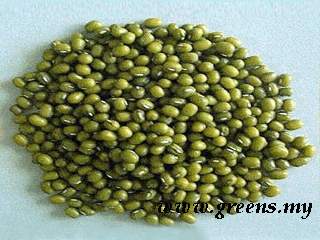 Mung Bean Organic