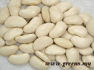 Lima Bean Organic