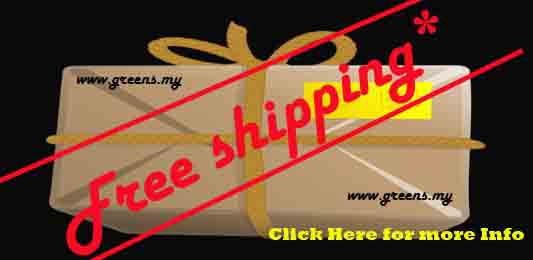 Free Shipping Banner