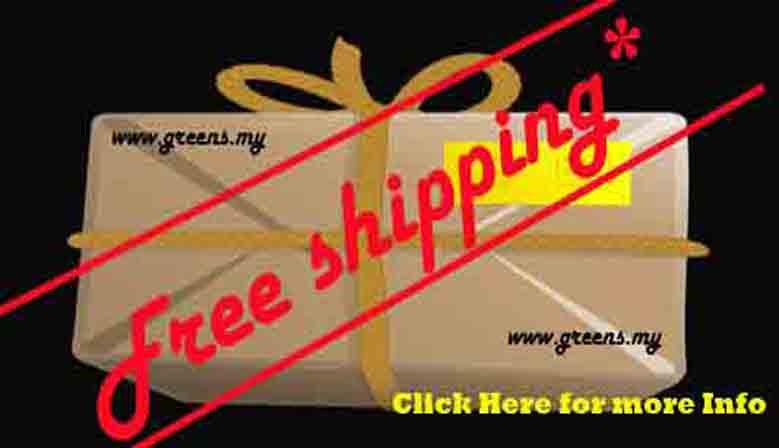 Free Shipping